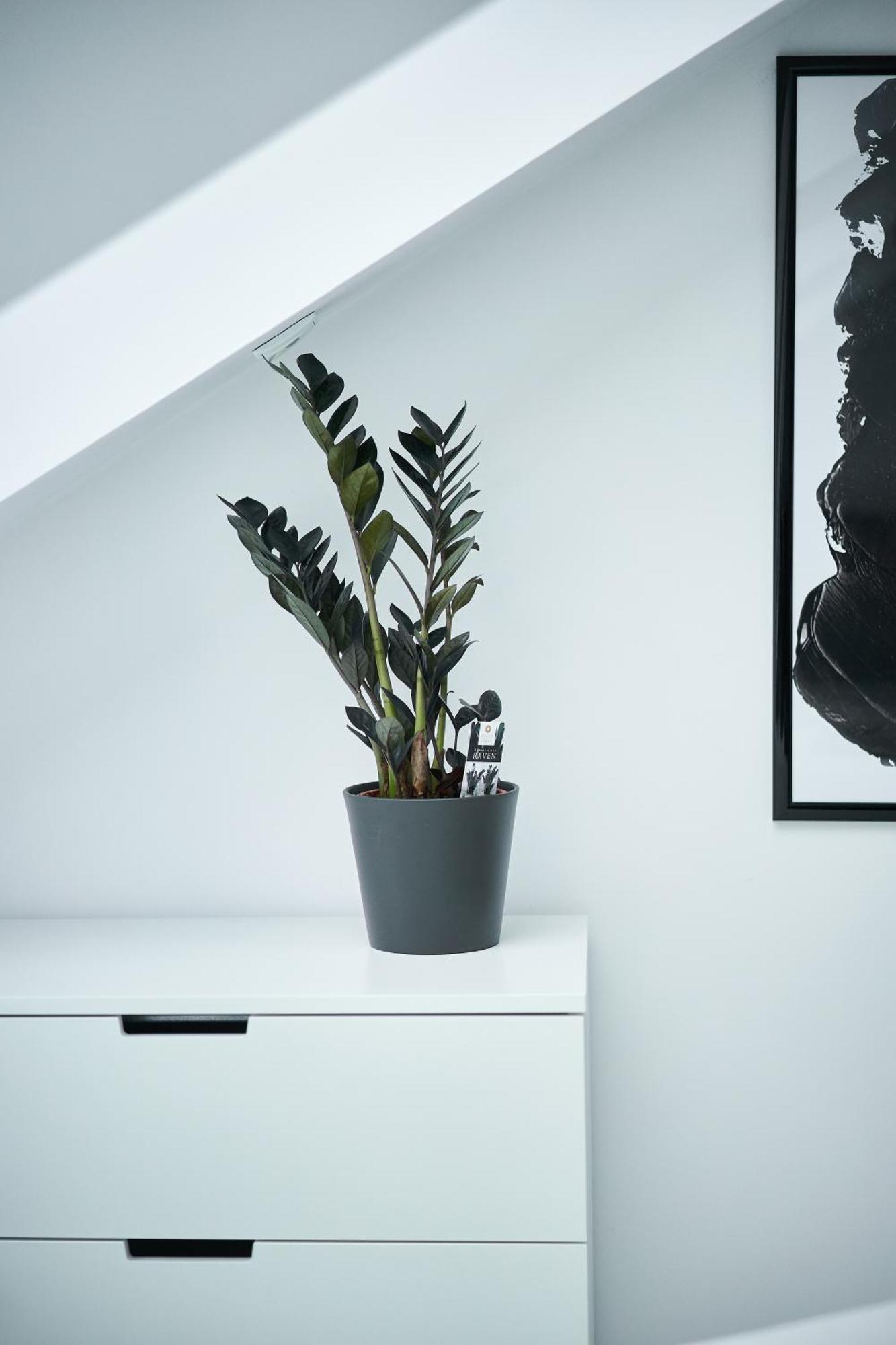 Apartament Unique Design Loft In Middle Of Centre Of Old Town With Netflix Kraków Zewnętrze zdjęcie